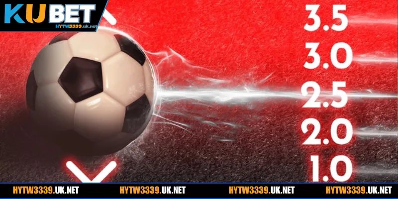  Những dạng kèo tài xỉu phổ biến giúp người chơi dễ dàng lựa chọn