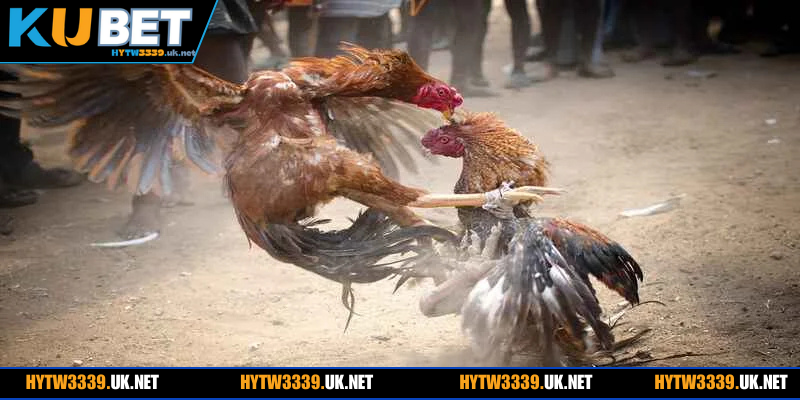 Quy tắc rõ ràng được đặt ra khách vừa gia nhập nên nắm vững